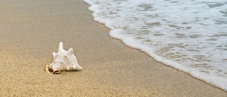 Sur la plage
