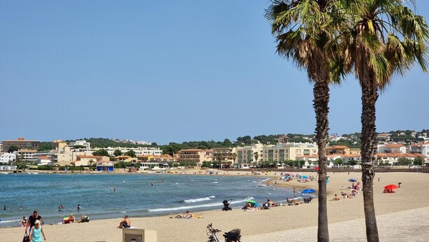 A beach with people, a bicycle, and a palm tree. - Charming house near the beach in L’Escala (L'Escala)