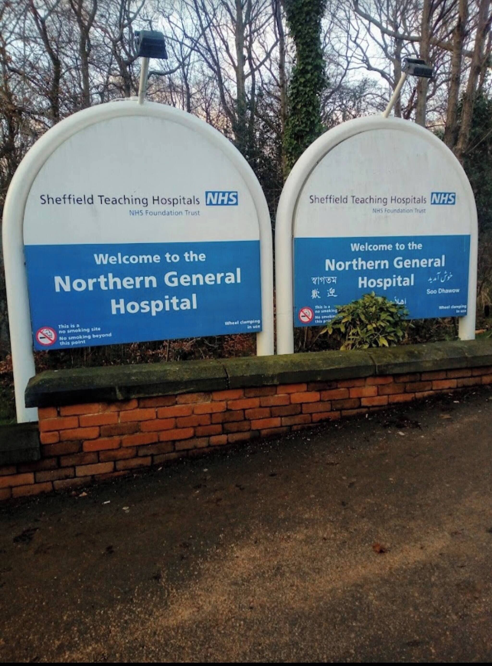 Hus - 4 soveværelser | Overnatningsstedets område