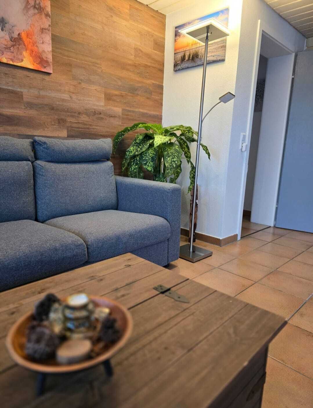 A modern living room with a grey sofa, a wooden coffee table, and a large green plant.