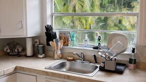 Een keuken met een spoelbak, aanrecht en raam met uitzicht op palmbomen.