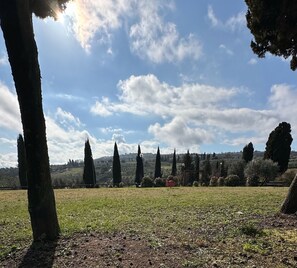 Property grounds - The Way (San Quirico D’Orcia)