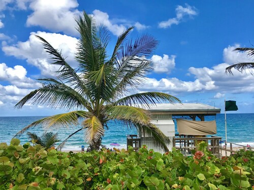 Seashell 2 - Luxury Apartment close to the beach