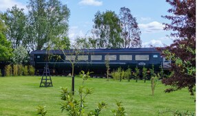 A train in a grassy area with trees and a ladder. - Railway train carriage beautifully converted for an unusual stay in Countryside (ELY)