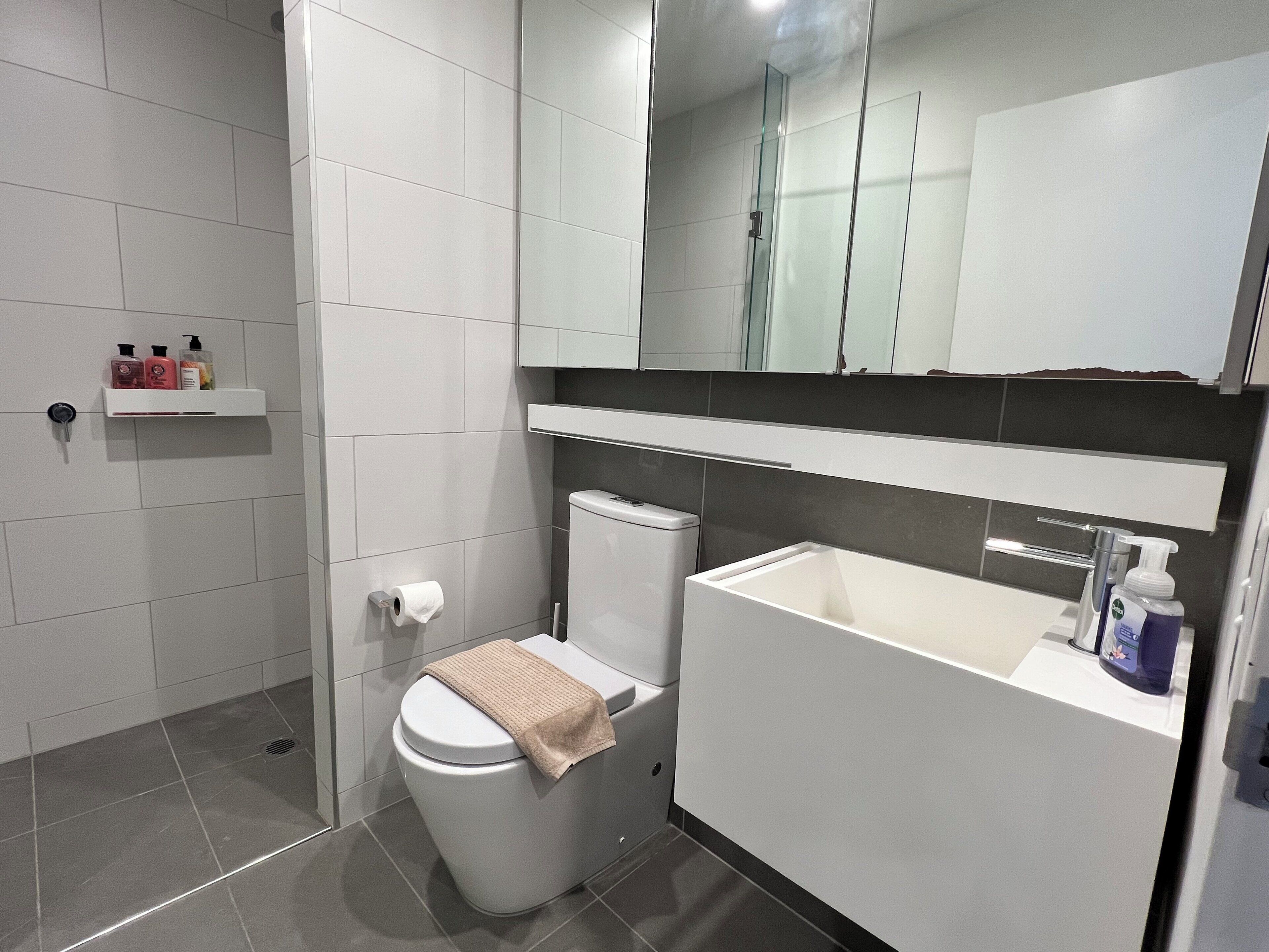 Dusche, Haartrockner, Handtücher, Seife