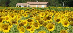 Ferienhaus | Innendetails