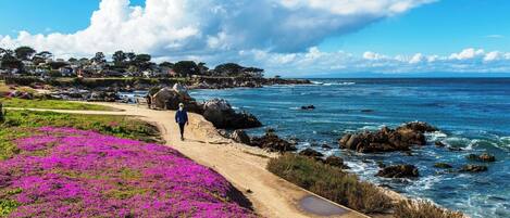 Playa en los alrededores