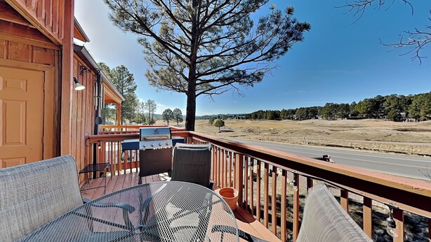 Eine Terrasse mit Gartenmöbeln, einem Grill und Blick auf eine Straße und Bäume.