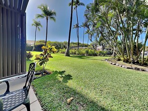 Property grounds - Kihei Akahi D-G8 | Ground Floor & Right Across From The Beach! (Kihei)