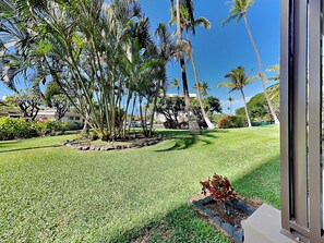 Property grounds - Kihei Akahi D-G8 | Ground Floor & Right Across From The Beach! (Kihei)