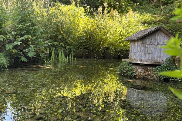 Enceinte de lâhĂ©bergement