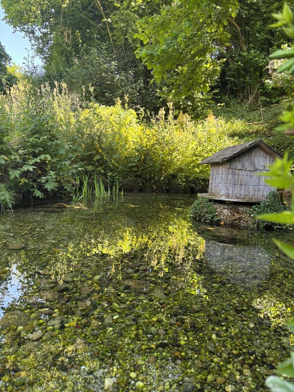 Áreas de la propiedad