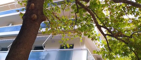 A tree with green leaves in front of a building with balconies.