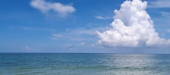 DELIGHTFUL  STUDIO RIGHT OFF HEATED POOL!