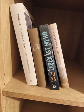 Shower, towels, toilet paper