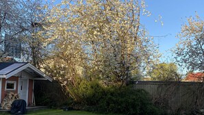 A residential backyard with a small shed, a lawn, and a tree with white blossoms. - 4 Star Holiday Home in Alingsas (Alingsas)