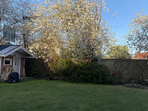 A residential backyard with a small shed, a lawn, and a tree with white blossoms. - 4 Star Holiday Home in Alingsas (Alingsas)