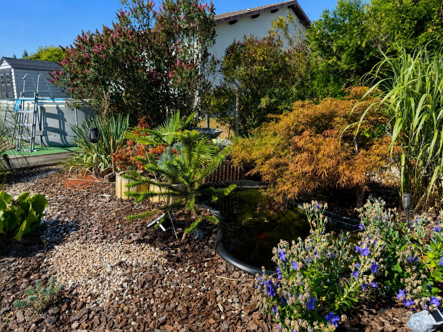 A garden with a variety of plants and a small pond.