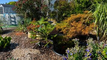 A garden with a variety of plants and a small pond.