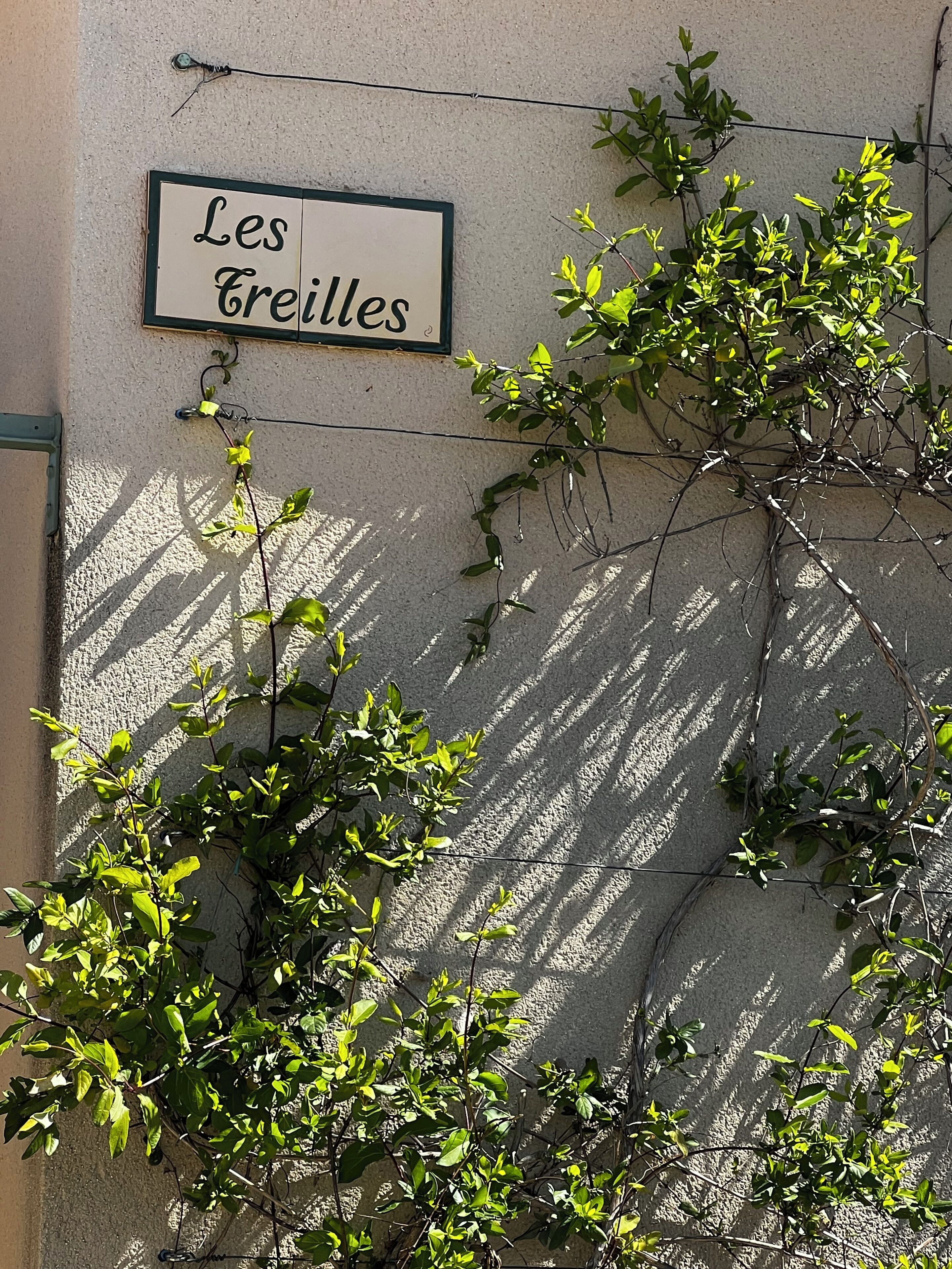 تفاصيل الفندق من الخارج