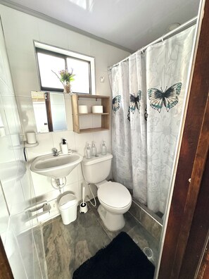 Serviettes fournies, savon, papier toilette