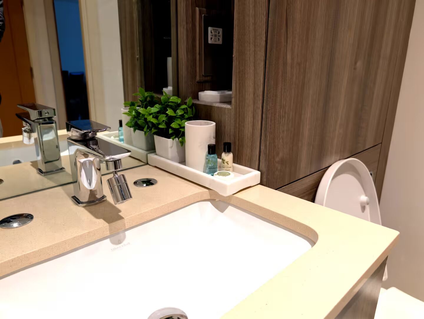 Un baño moderno con un lavamanos grande, un espejo y una planta en maceta.
