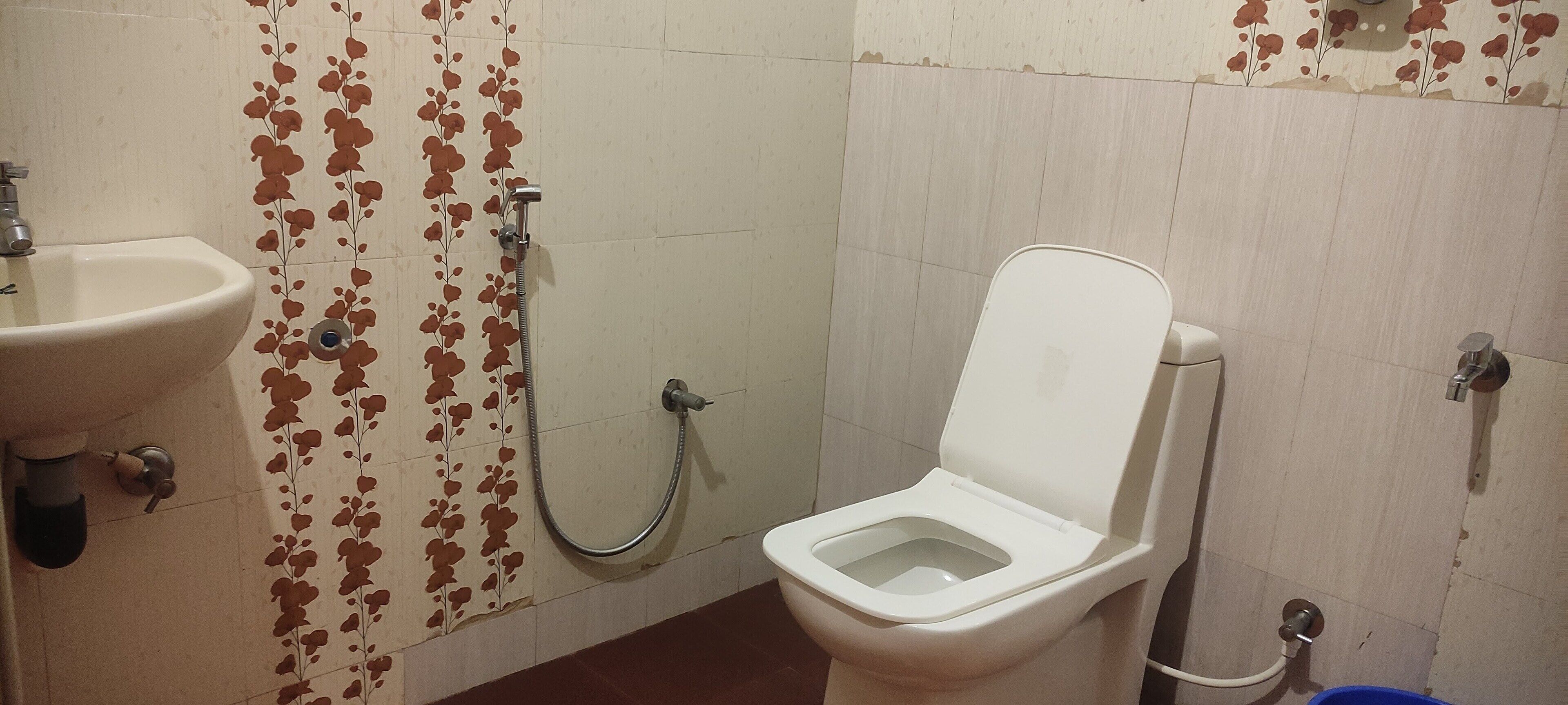 Shower, bidet, towels, toilet paper