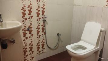 Shower, bidet, towels, toilet paper