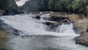 Ein Wasserfall stürzt über Felsen in einem bewaldeten Gebiet.