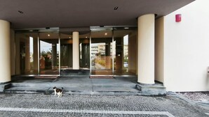A hotel entrance with a glass door, a cat on the steps, and a paved area with cacti. - Hotel La Costiera (Giugliano in Campania)