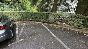 Un estacionamiento con un coche aparcado a la izquierda, rodeado de abundante vegetación y un edificio al fondo.