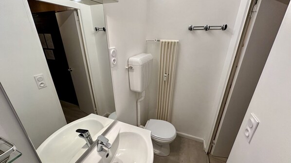 A compact bathroom with a white sink, a toilet, and a shower area. - Le Pradet C 513 - Le Mont Dore 4pers (Mont-Dore)