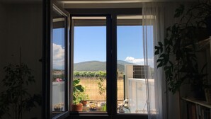 Una habitación con un gran ventanal corredera que da a un balcón con plantas en macetas y vistas a un paisaje montañoso.