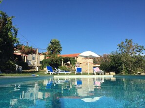 House | Pool | Outdoor pool - Spacious Country House in Penafiel (Penafiel)