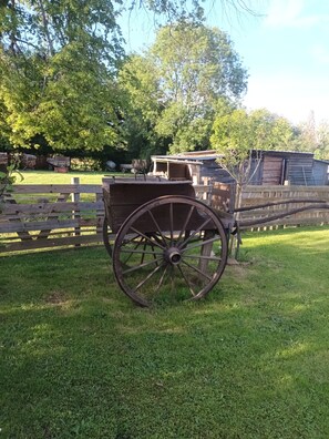 Área da propriedade