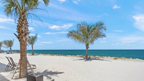A beach with palm trees, chairs, and a clear view of the ocean. - Your Gulf-Front Getaway Awaits (Siesta Key)
