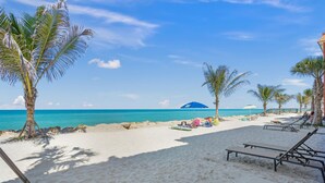 Een strand met palmbomen, ligbedden en parasols.