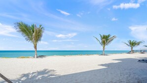 Ein Strand mit Palmen und blauem Himmel.