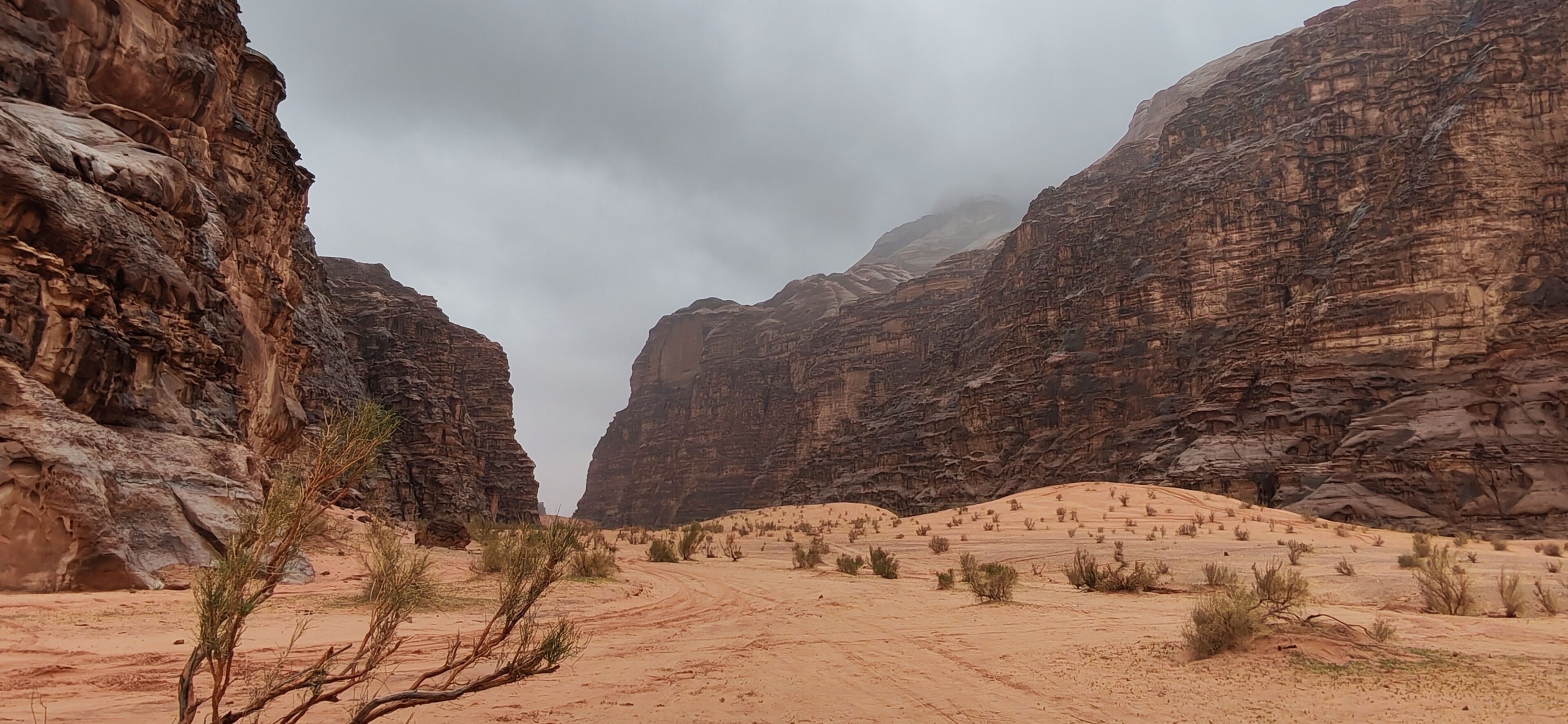 Um cânion no deserto com penhascos rochosos e vegetação escassa.