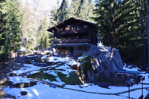 Forest Chalet with Private Bridge & Mountain View