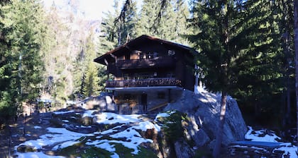 Forest Chalet with Private Bridge & Mountain View