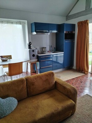 Älytelevisio, takka, DVD-soitin, musiikkikirjasto