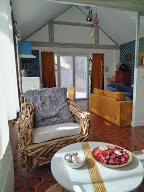 Smart TV, fireplace, DVD player, music library