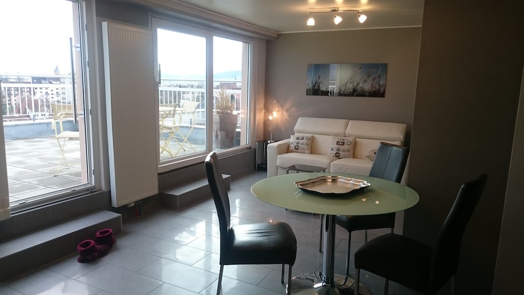 En Attique, Avec Terrasse De 40m2, à 5 Min. Du Centre, Et 10 De La Gare à Pieds - Sélestat