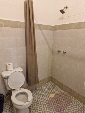 Basic Loft | Bathroom | Shower, towels, soap, shampoo