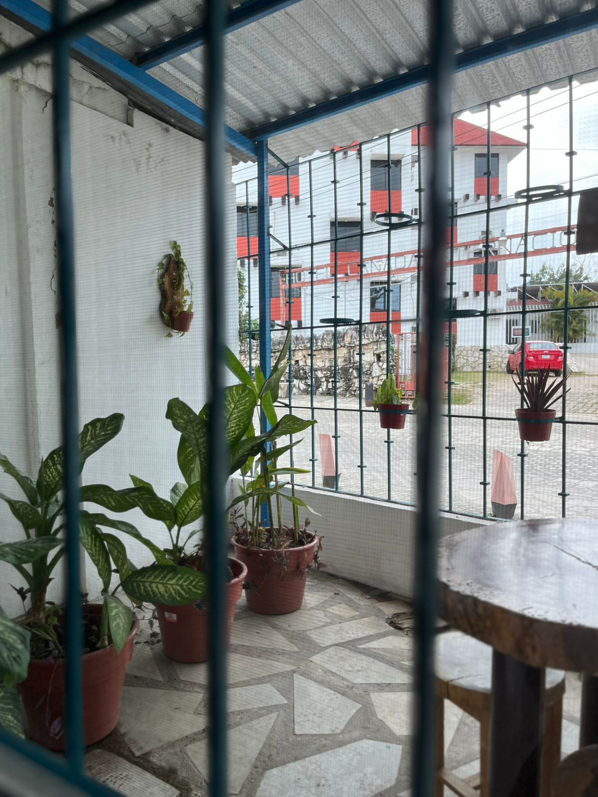 A room with a tiled floor, a table, and several potted plants.