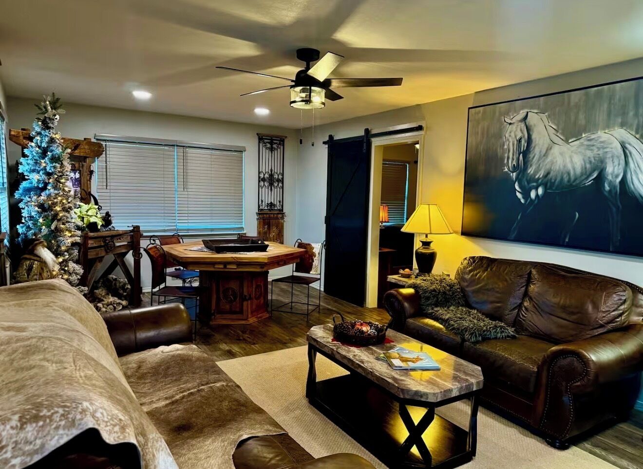 Smart TV, fireplace, DVD player, books