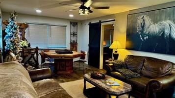 Smart TV, fireplace, DVD player, books