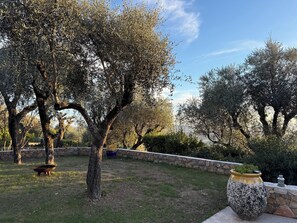 Property grounds - Maison Piscine au calme 06740 (8 pers) (Châteauneuf-Grasse)
