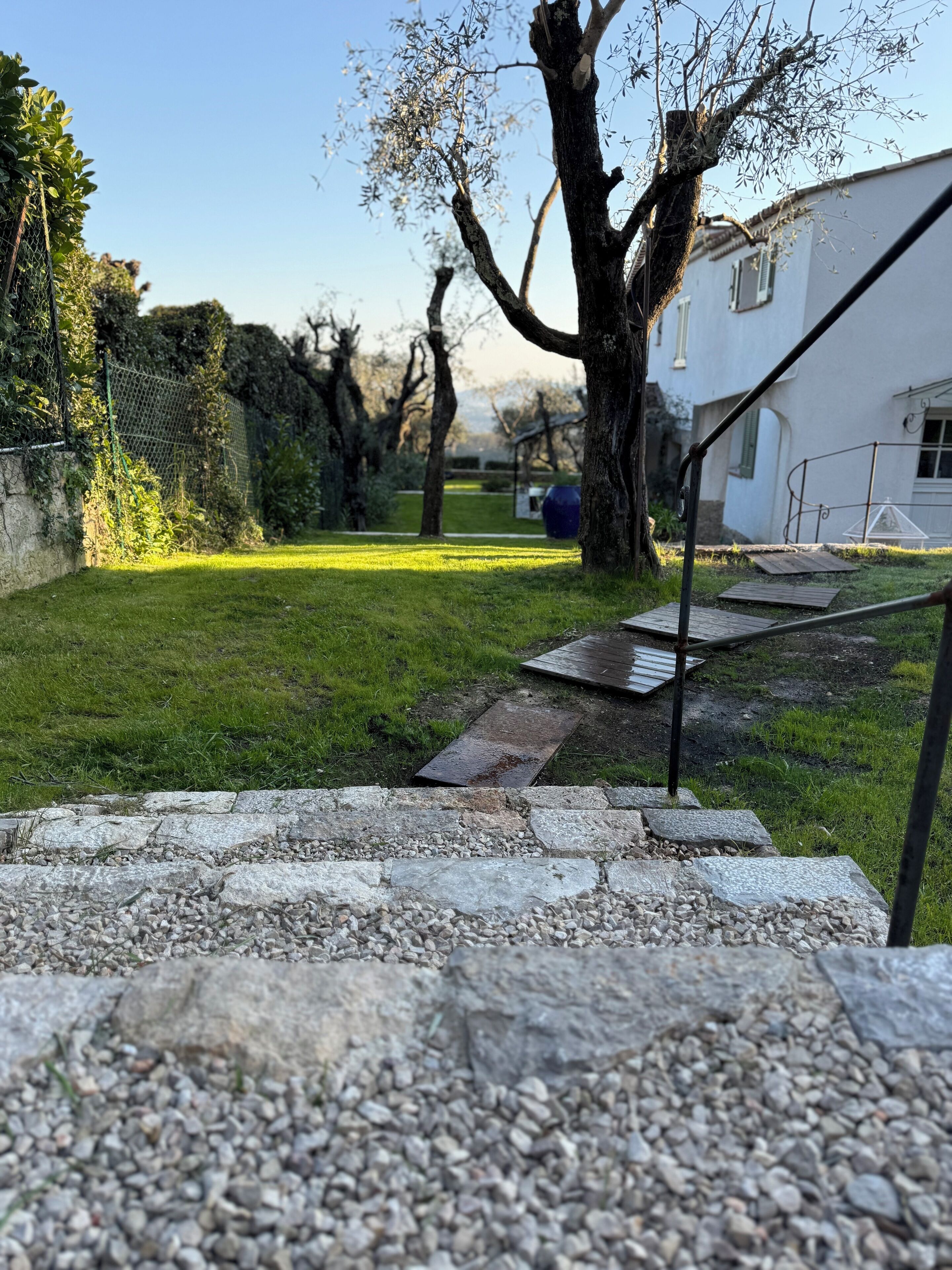 A stone pathway leading to a grassy area with a tree and a white building in the background.